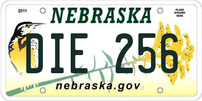 NE license plate DIE256