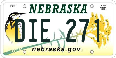 NE license plate DIE271