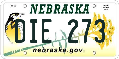 NE license plate DIE273