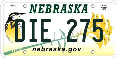 NE license plate DIE275