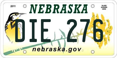 NE license plate DIE276