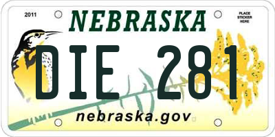NE license plate DIE281