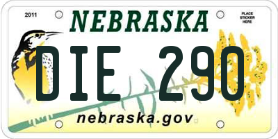 NE license plate DIE290