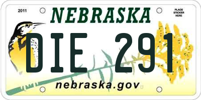 NE license plate DIE291