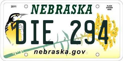 NE license plate DIE294