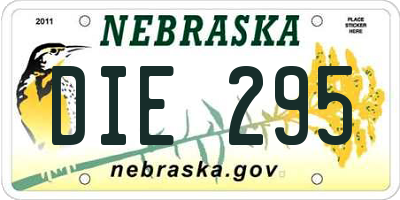 NE license plate DIE295