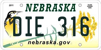NE license plate DIE316