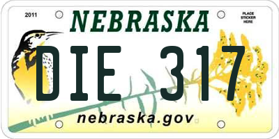 NE license plate DIE317