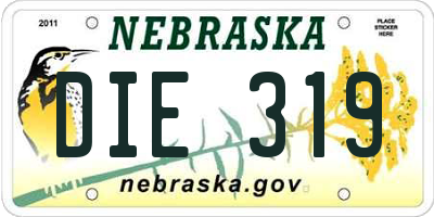 NE license plate DIE319