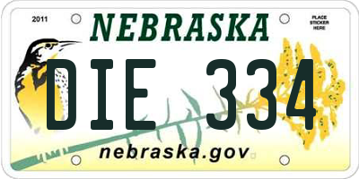 NE license plate DIE334