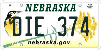 NE license plate DIE374