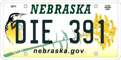 NE license plate DIE391