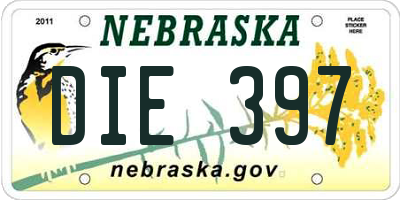 NE license plate DIE397