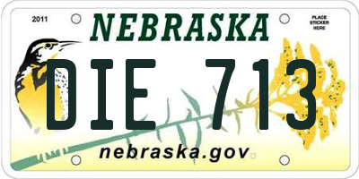 NE license plate DIE713