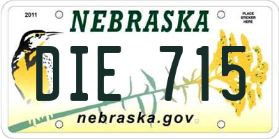 NE license plate DIE715