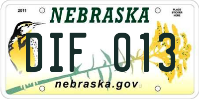 NE license plate DIF013