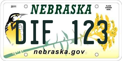 NE license plate DIF123
