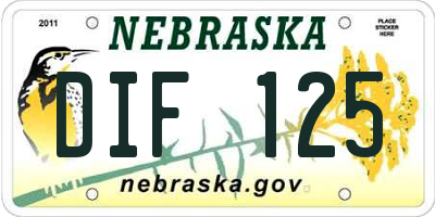 NE license plate DIF125