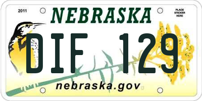 NE license plate DIF129