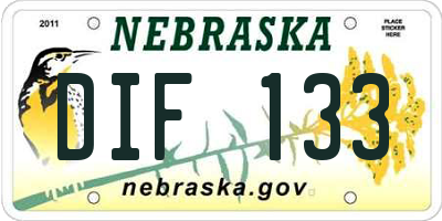NE license plate DIF133
