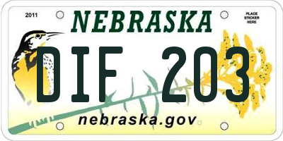 NE license plate DIF203