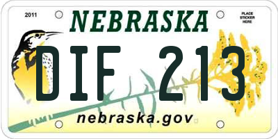 NE license plate DIF213