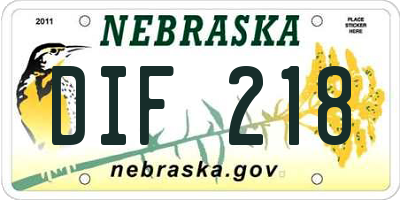 NE license plate DIF218