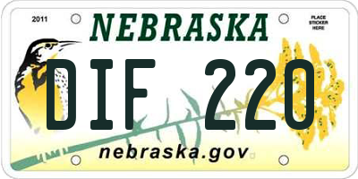 NE license plate DIF220