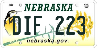 NE license plate DIF223