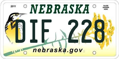 NE license plate DIF228