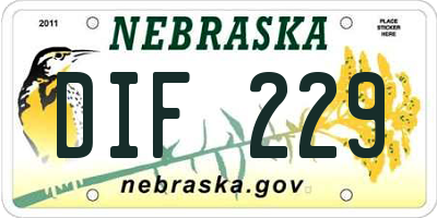 NE license plate DIF229