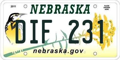 NE license plate DIF231