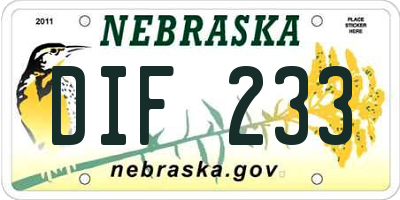 NE license plate DIF233