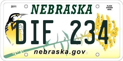 NE license plate DIF234
