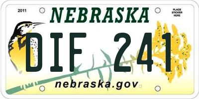 NE license plate DIF241