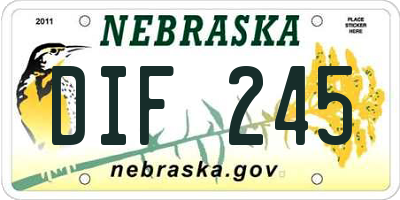 NE license plate DIF245
