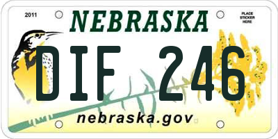 NE license plate DIF246
