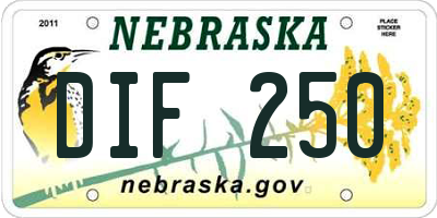 NE license plate DIF250