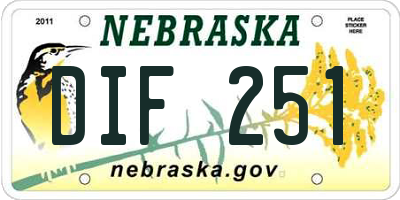 NE license plate DIF251