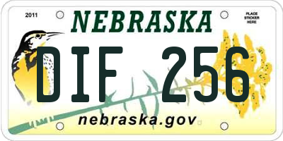NE license plate DIF256
