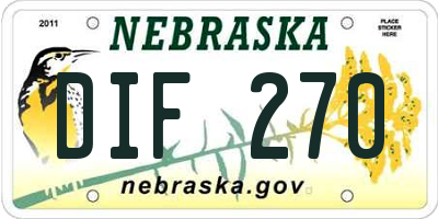 NE license plate DIF270