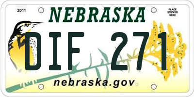 NE license plate DIF271