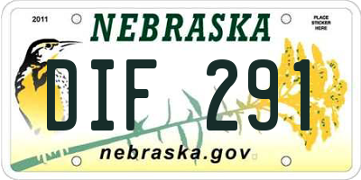 NE license plate DIF291