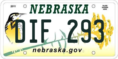 NE license plate DIF293