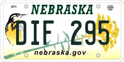 NE license plate DIF295