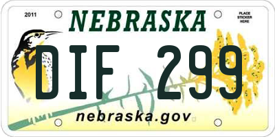 NE license plate DIF299