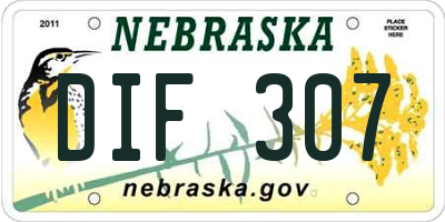 NE license plate DIF307