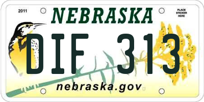 NE license plate DIF313