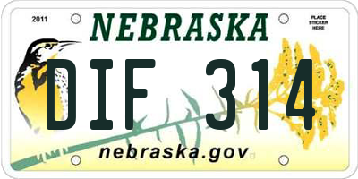 NE license plate DIF314