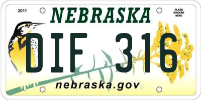NE license plate DIF316
